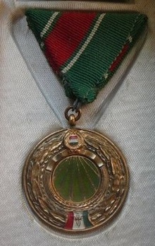 Customs and Finance Guards Medal in Bronze (for 5 years) Obverse