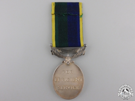 Silver Medal (for Territorial and Army Volunteer Reserve, 1954-) Reverse