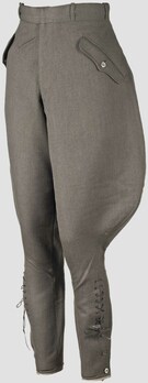 SS-VT Officer Field-Grey Breeches Obverse