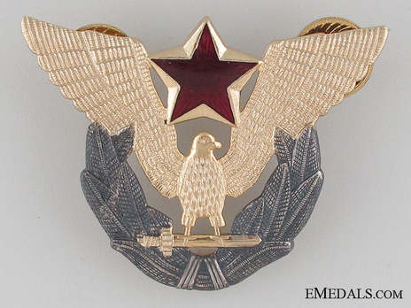 Air Force Pilot Cap Badge Obverse