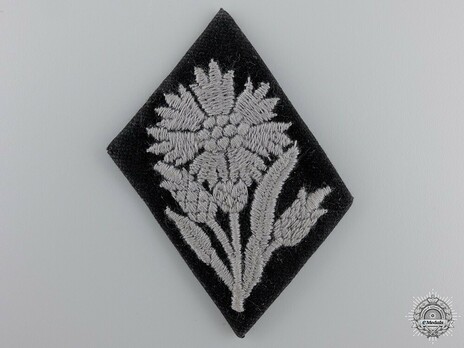 Waffen-SS 'Maria Theresa' Division Collar Tab Obverse