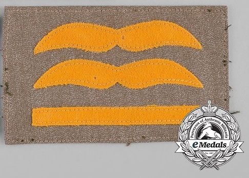 Luftwaffe Generalleutnant Rank Insignia Obverse