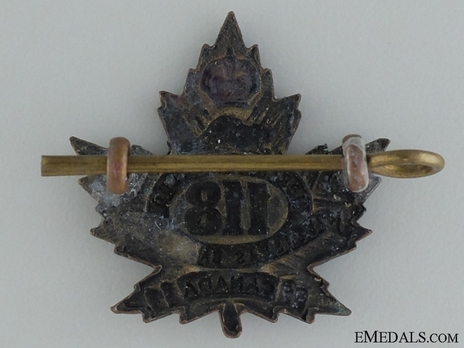 118th Infantry Battalion Other Ranks Collar Badge Reverse