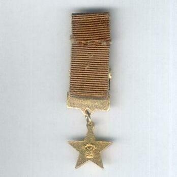 Miniature NDF Campaign Medal Reverse