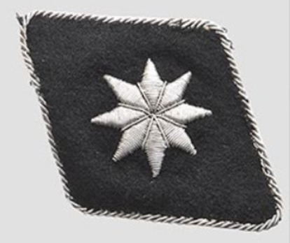 Allgemeine SS Administrative Services Trade Insignia Obverse