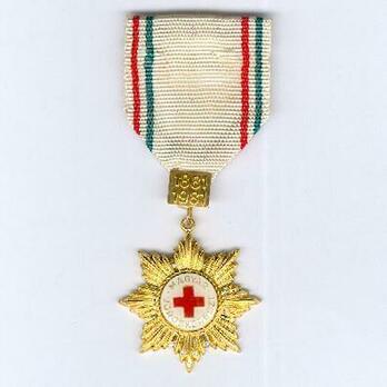 Hungarian Red Cross 100 Years Anniversary Medal Obverse