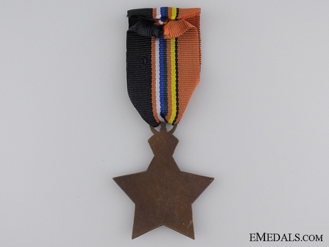 Bronze Star Reverse