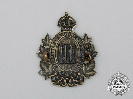 119th Infantry Battalion Other Ranks Cap Badge Reverse