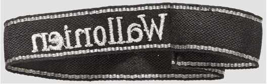 Waffen-SS Wallonien Cuff Title Reverse