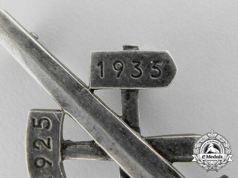 Gau Honour Badge Essen, in Silver Obverse Detail