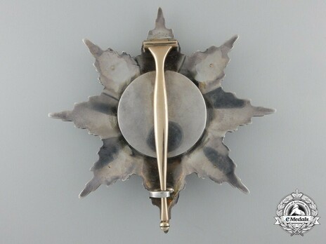 Knight's Cross Breast Star (with smooth rays) Reverse