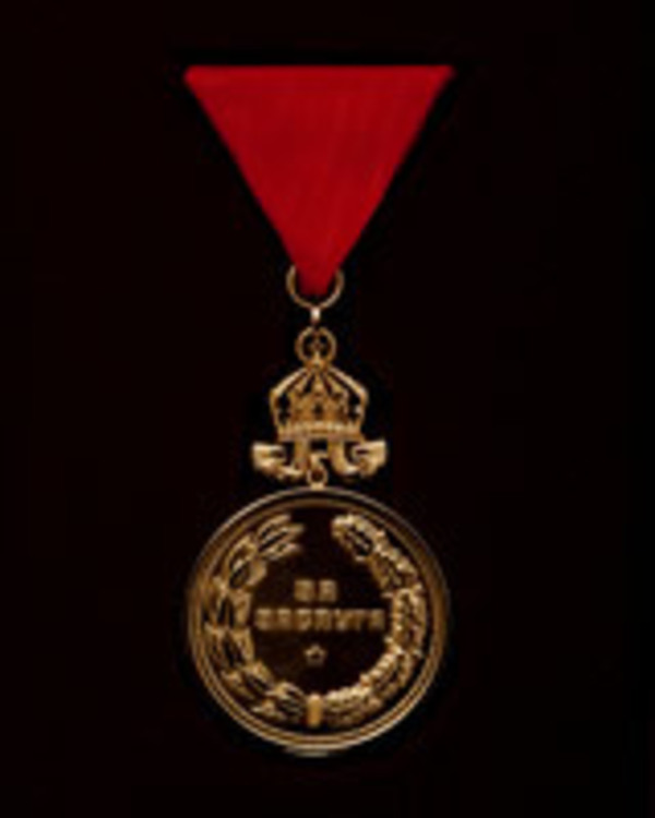 Medal+for+merit