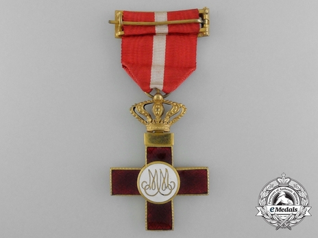 1st Class Cross (red distinction) (gilt) Reverse