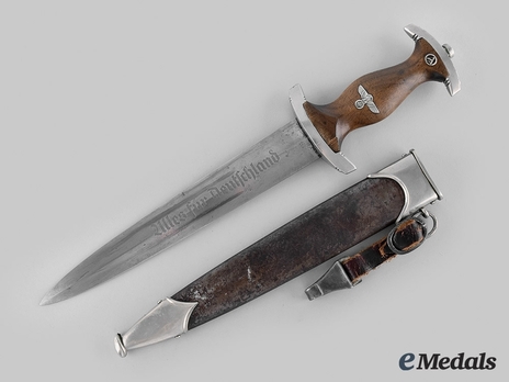 SA Röhm Honour Dagger (with partial dedication) (by Stöcker) Obverse with Scabbard
