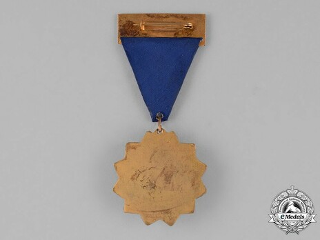 Union Order of the United Arab Republic Reverse