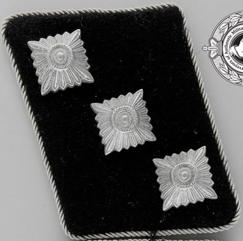 Waffen-SS Untersturmführer Collar Tabs Obverse