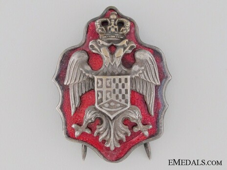 NCO Badge Obverse