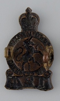 124th Infantry Battalion Officers Collar Badge Reverse