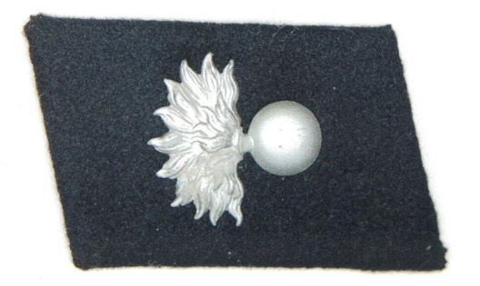 Waffen-SS 'Landstorm Nederland' Division Collar Tab Obverse