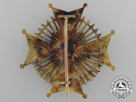 Grand Cross Breast Star (Silver gilt) Reverse