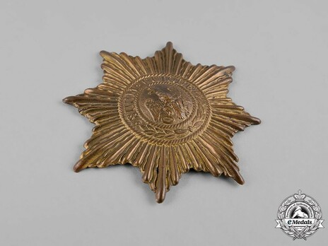 Guard Helmet Star (in bronze gilt) Obverse