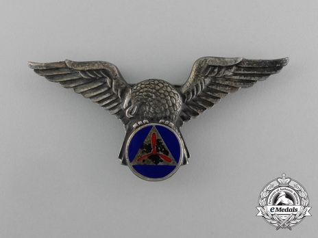 Pilot Wings Obverse