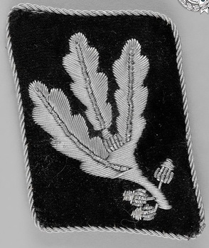 Allgemeine SS Pre-1942 Gruppenführer Collar Tabs Obverse