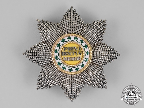 Order of the Rue Crown, Breast Star Obverse