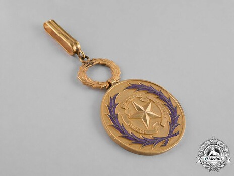 Order of Academic Palms, Commander Obverse