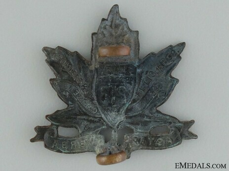 213th Infantry Battalion Other Ranks Collar Badge Reverse