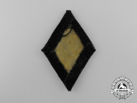 Allgemeine SS Pharmacist Trade Insignia Reverse