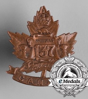 137th Infantry Battalion Other Ranks Collar Badge Obverse