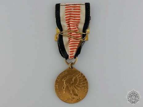 South Africa Campaign Medal, for Combatants (in bronze gilt) with two clasps Obverse