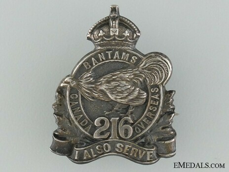 216th Infantry Battalion Officers Collar Badge Obverse