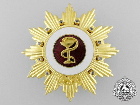 Order of Medical Merit, I Class Breast Star Obverse