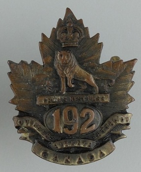 192nd Infantry Battalion Other Ranks Collar Badge Obverse