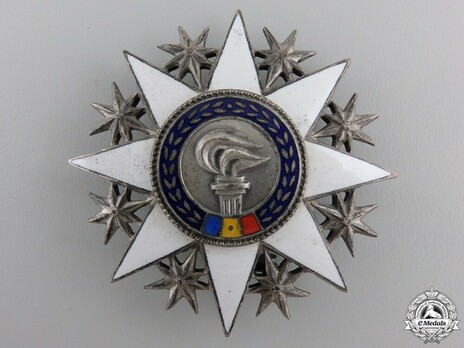 Order of Cultural Merit, IV Class Breast Star Obverse