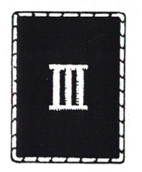 TeNo 1936 pattern District Leader Unit Collar Tabs Obverse