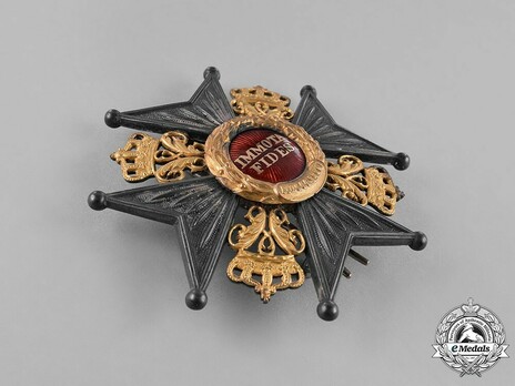 Dukely Order of Henry the Lion, Commander Cross Breast Star Obverse