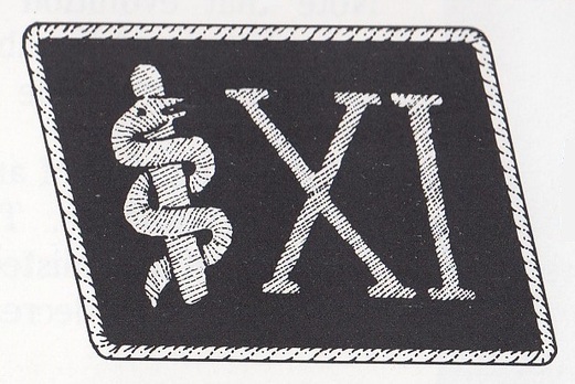 Allgemeine SS 11th Sub-District Medical Units Collar Tab Obverse