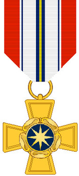 National Intellegience Cross Obverse