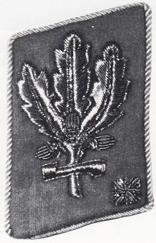 SA Gruppenführer Collar Tabs (1944-1945 version) Obverse