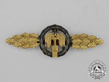 Short-Range Night Fighter Clasp, in Gold Obverse