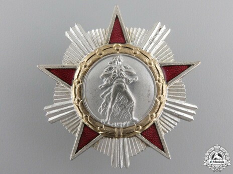 Order of Freedom, II Class (screwback) Obverse