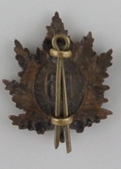 166th Infantry Battalion Other Ranks Collar Badge Reverse