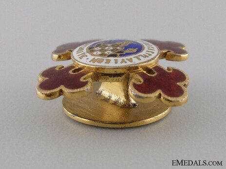 Miniature Grand Cross Breast Star Reverse