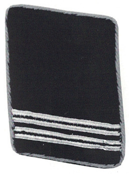 Allgemeine SS Rottenführer Collar Tabs (pre-1934 version) Obverse