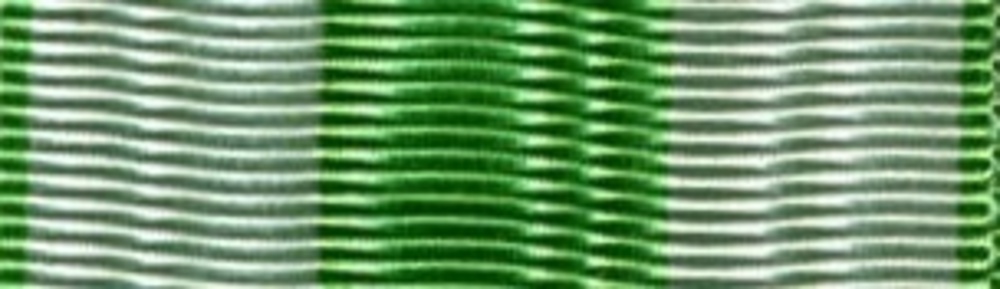 Firefighter ribbon3