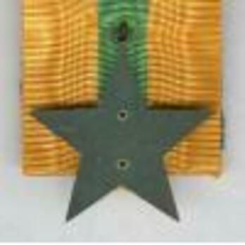 Bronze Star Reverse