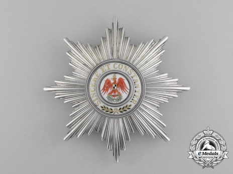 Order of the Red Eagle, Type VI, I Class Breast Star Obverse